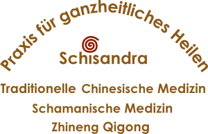 Schisandra-Praxis für ganzheitliches Heilen - Traditionelle Chinesische Medizin - Schamanische Medizin - Zhineng Qigong